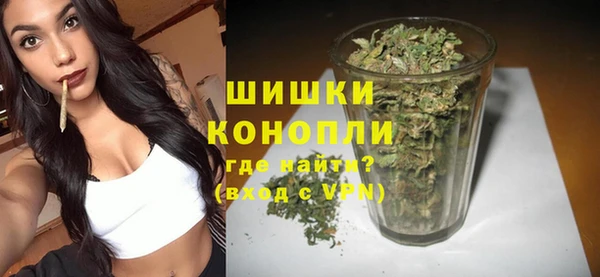 бошки Бородино