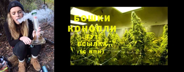 дмт Бугульма