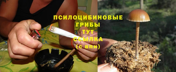 дмт Бугульма
