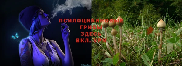 бошки Бородино